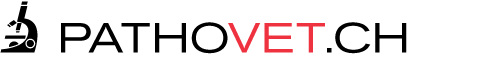 Logo PathoVet