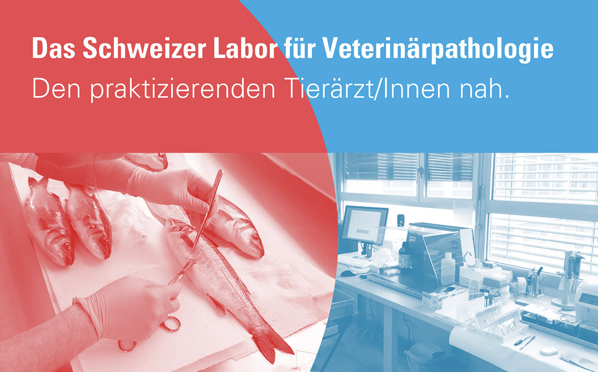 Tag der offenen Tür bei PathoVet